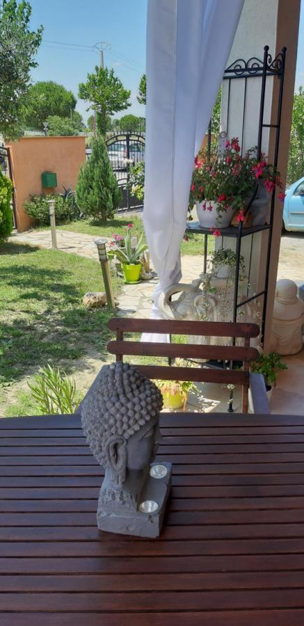 Orchidee Rose Villa Saint-Laurent-dʼAigouze Dış mekan fotoğraf